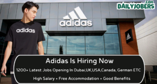 Adidas Careers 